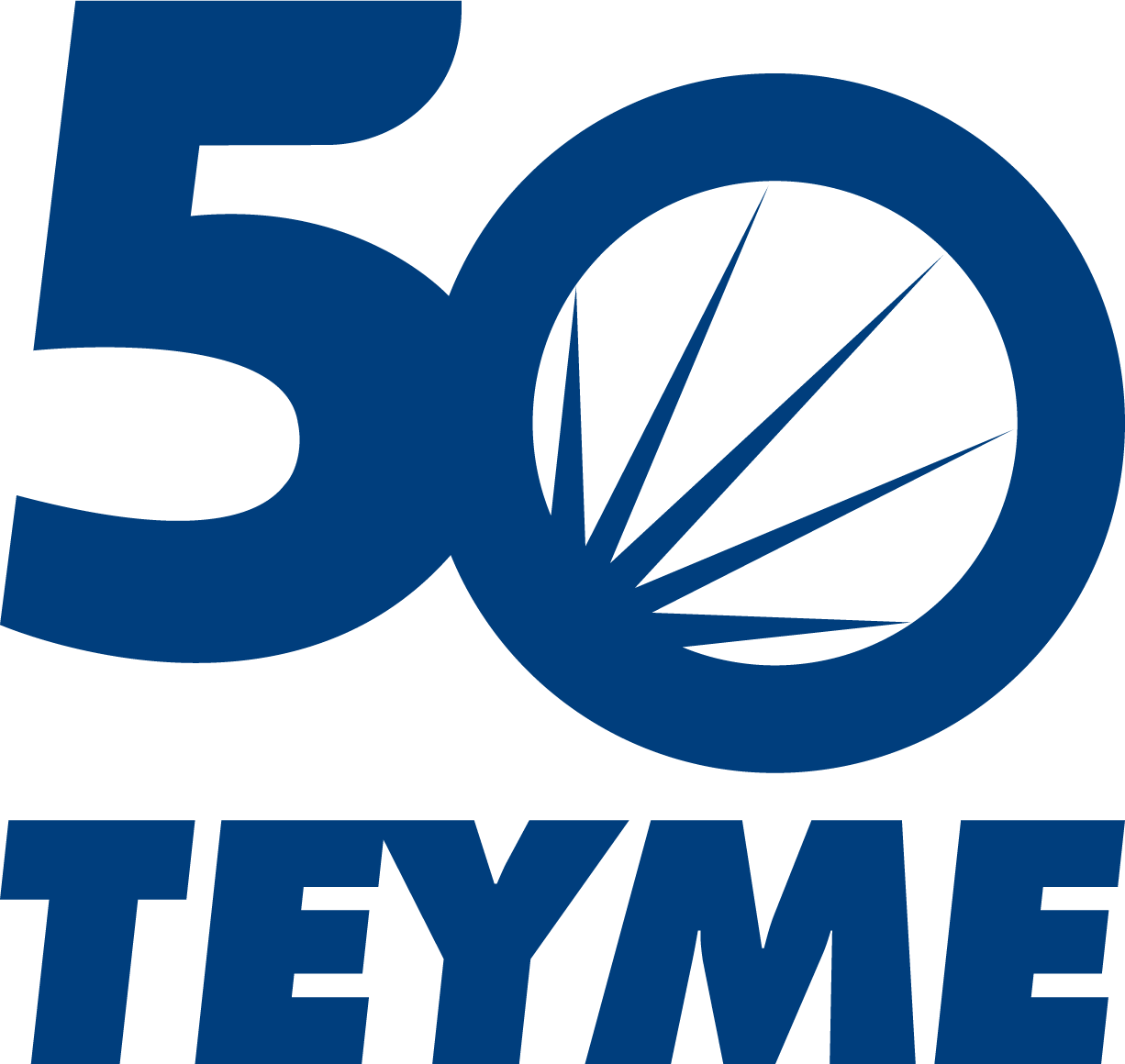 logo-teyme-50